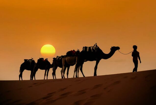 Marrakech to Fes in 3 Days via the Sahara Desert